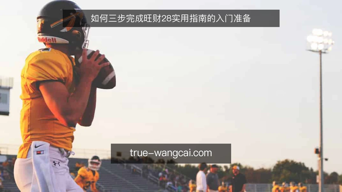 如何三步完成旺财28实用指南的入门准备