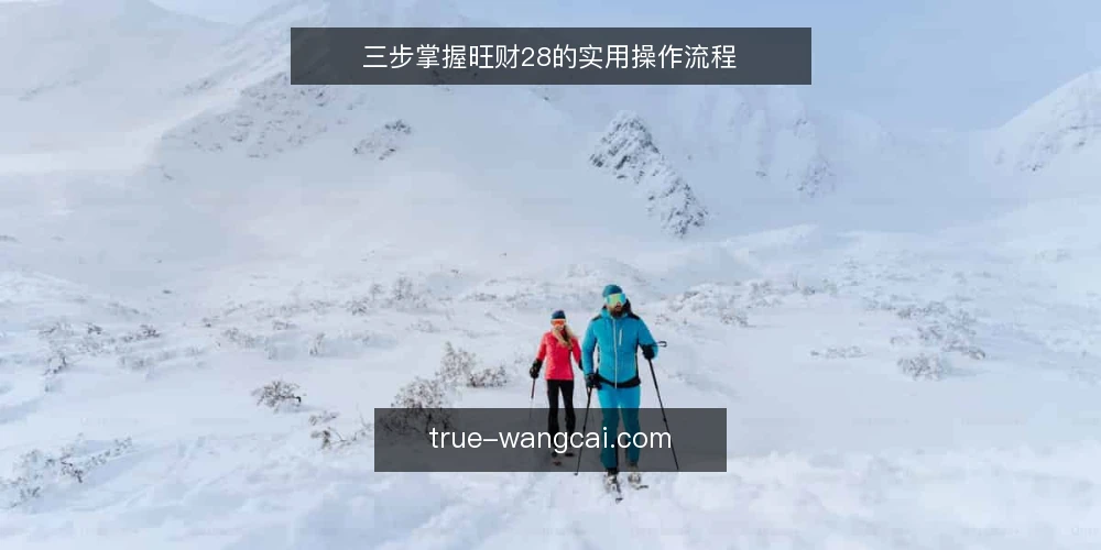 三步掌握旺财28的实用操作流程 — 准备：确认基础信息与工具 配图