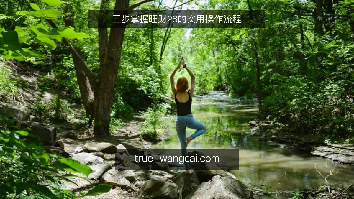 三步掌握旺财28的实用操作流程