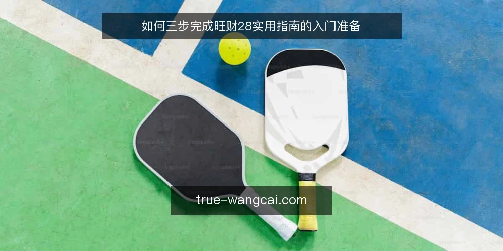 如何三步完成旺财28实用指南的入门准备 — 明确基础条件与目标 配图