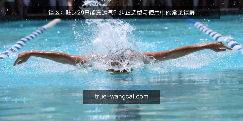 误区:旺财28只能靠运气?纠正选型与使用中的常见误解 — 纠偏前提:明确需求边界 配图