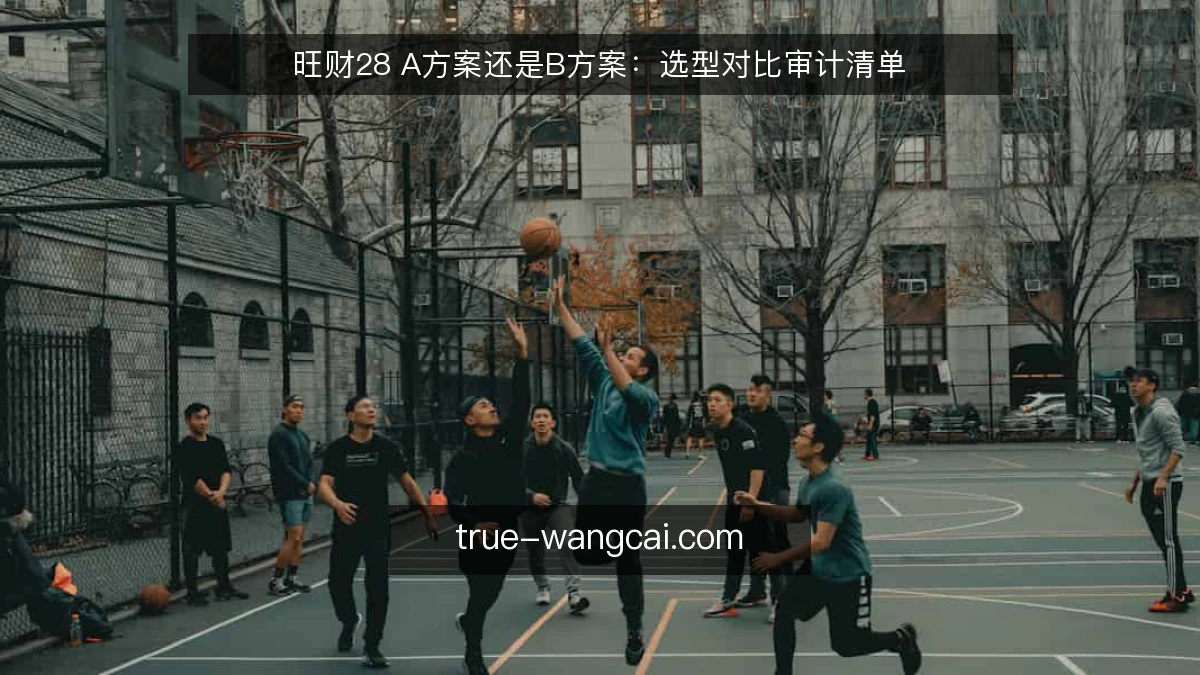 旺财28 A方案还是B方案:选型对比审计清单