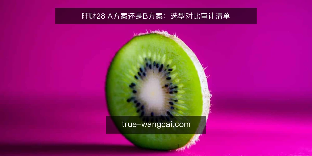 旺财28 A方案还是B方案:选型对比审计清单 — 为何现在要审计选型 配图