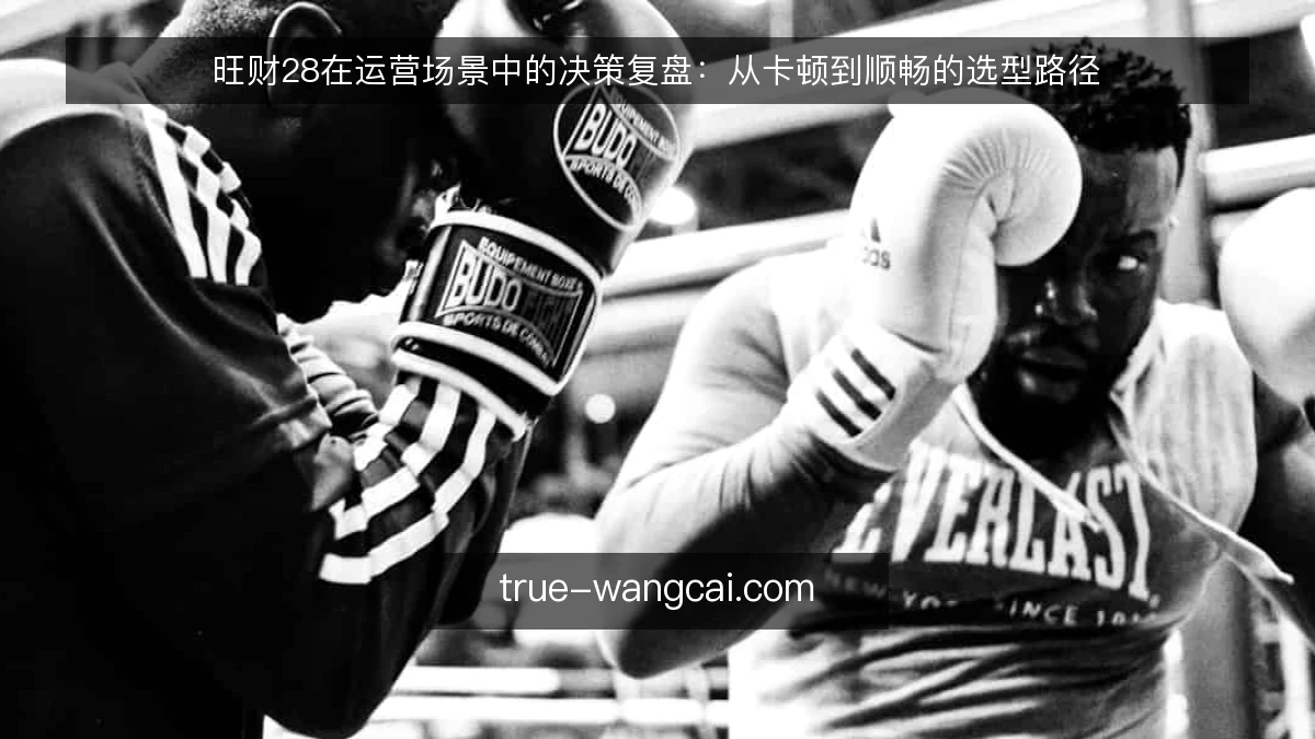 旺财28在运营场景中的决策复盘:从卡顿到顺畅的选型路径