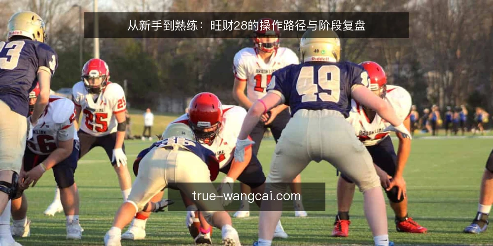 从新手到熟练:旺财28的操作路径与阶段复盘 — 新手期的常见困扰:信号多但操作乱 配图