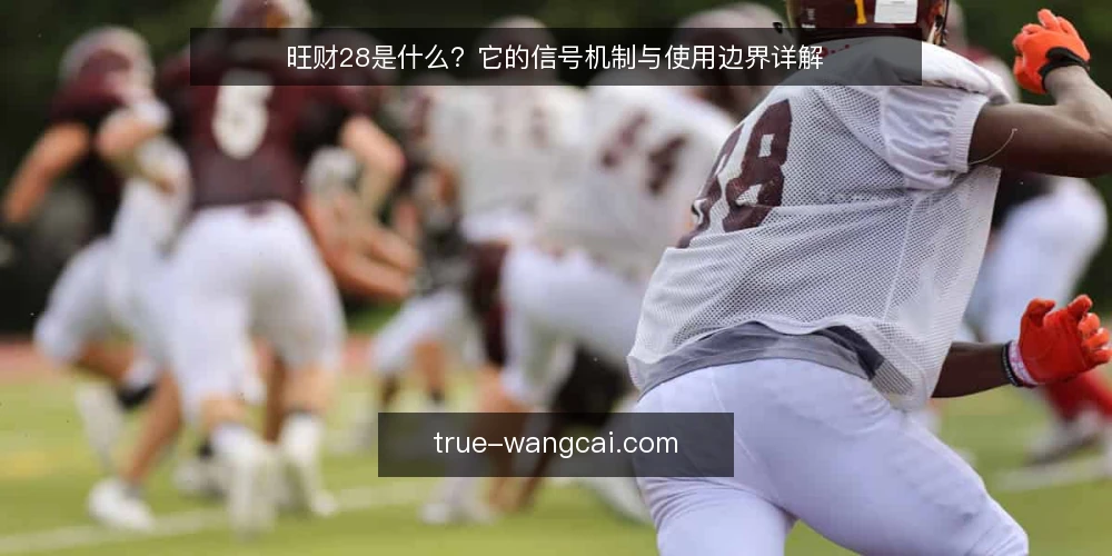 旺财28是什么?它的信号机制与使用边界详解 — 旺财28是什么?它属于哪一类信息工具? 配图