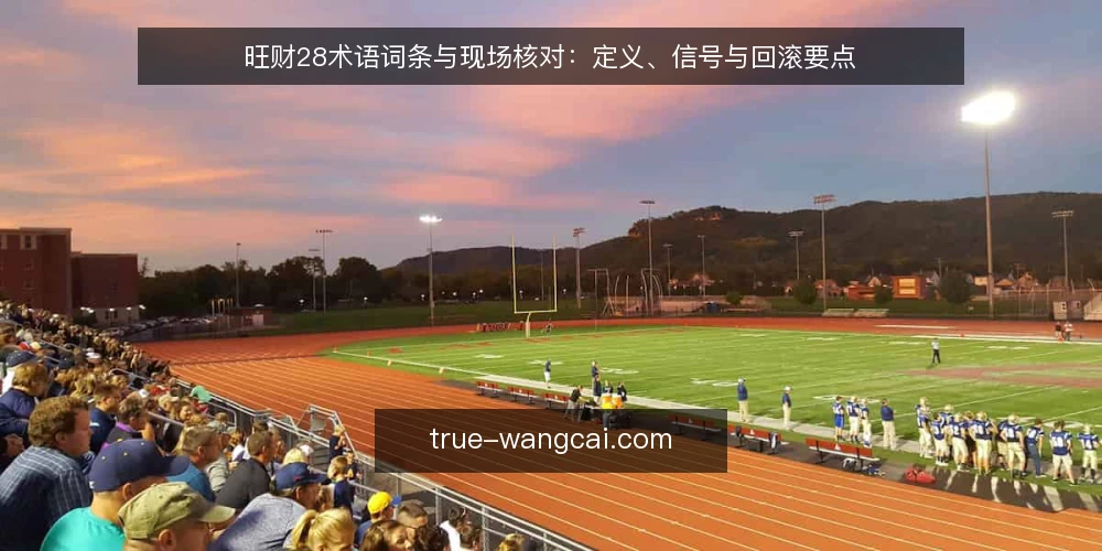 旺财28术语词条与现场核对：定义、信号与回滚要点 — 旺财28术语：定义与语境 配图