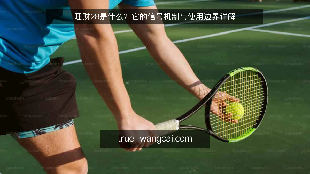 旺财28是什么？它的信号机制与使用边界详解