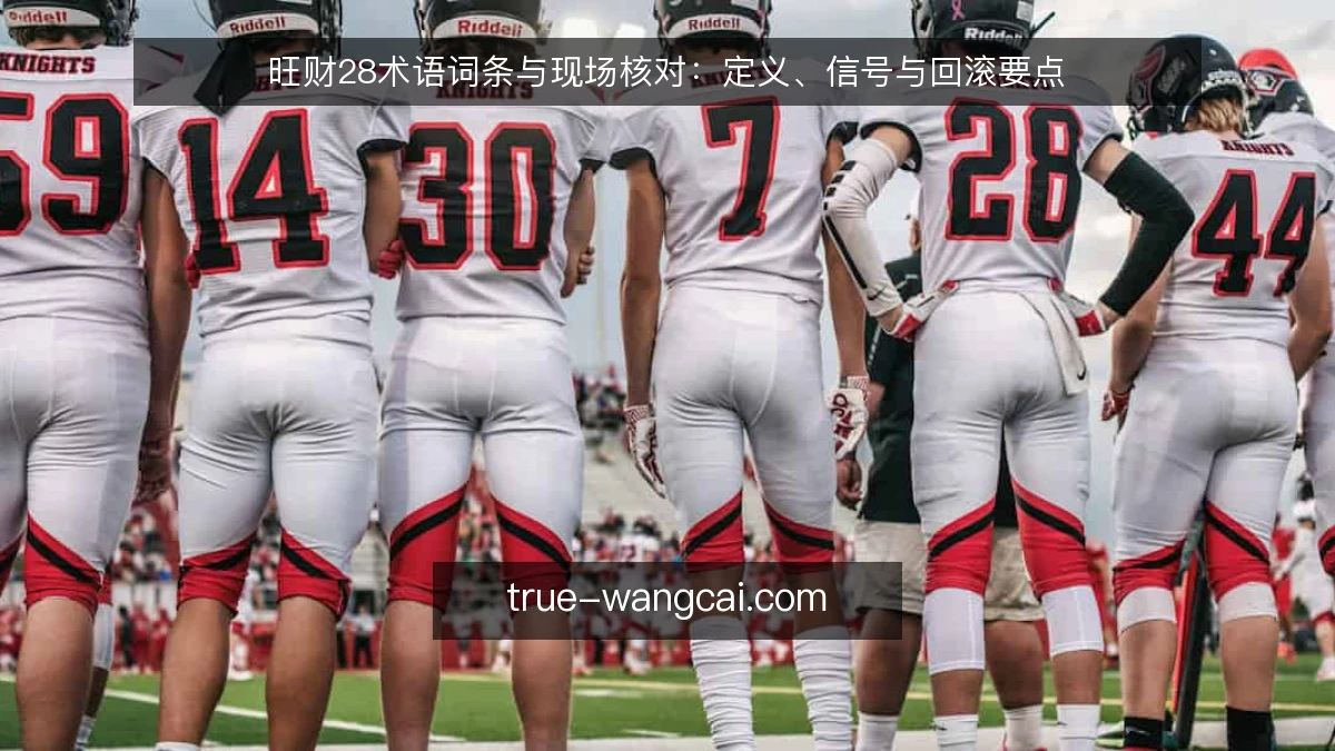 旺财28术语词条与现场核对：定义、信号与回滚要点