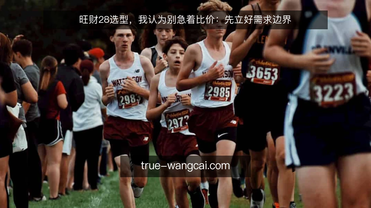 旺财28选型,我认为别急着比价:先立好需求边界
