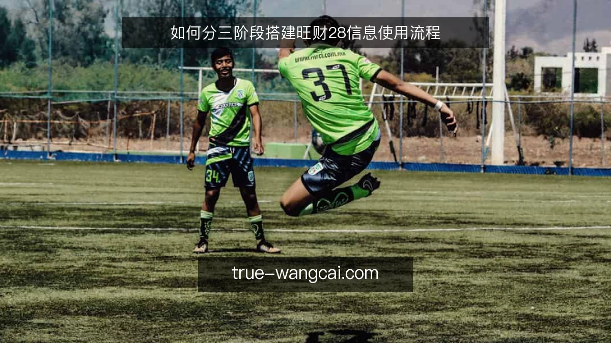 如何分三阶段搭建旺财28信息使用流程