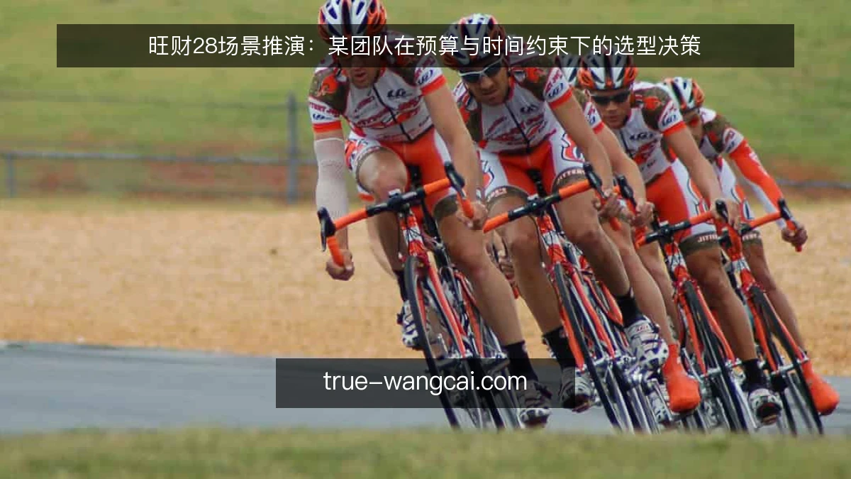 旺财28场景推演:某团队在预算与时间约束下的选型决策